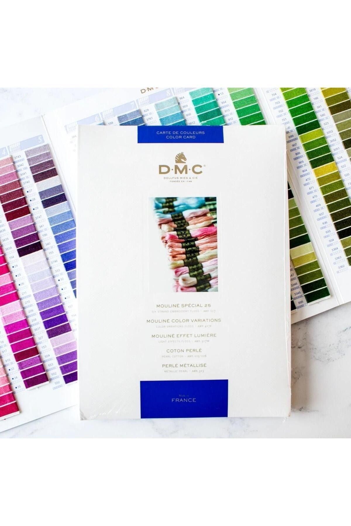 DMC Nakış İplikleri Canlı Renk Kartelası 2020 Basım