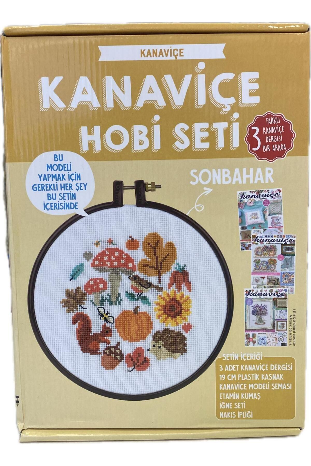 Kanaviçe Dergisi 3 Farklı Sayı Ve Kanaviçe Nakışı Kiti Sonbahar temalı Hobi Seti Tüm Malzemeleri İle